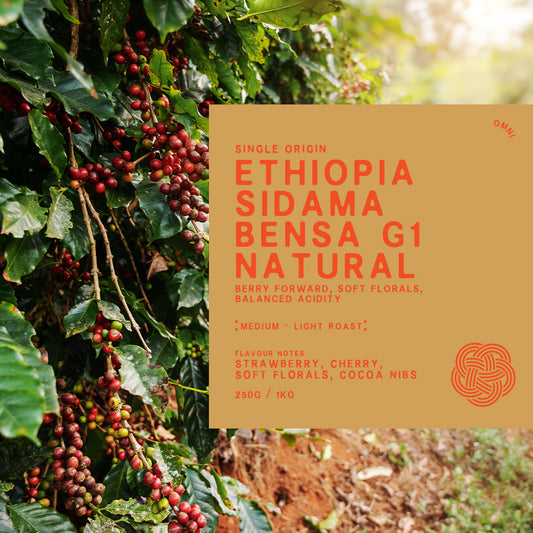 Ethiopia Sidama Bensa G1 Natural