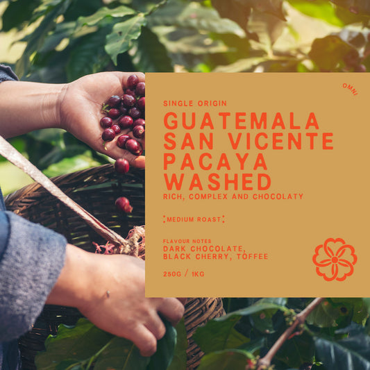 Guatemala San Vicente Pacaya Washed