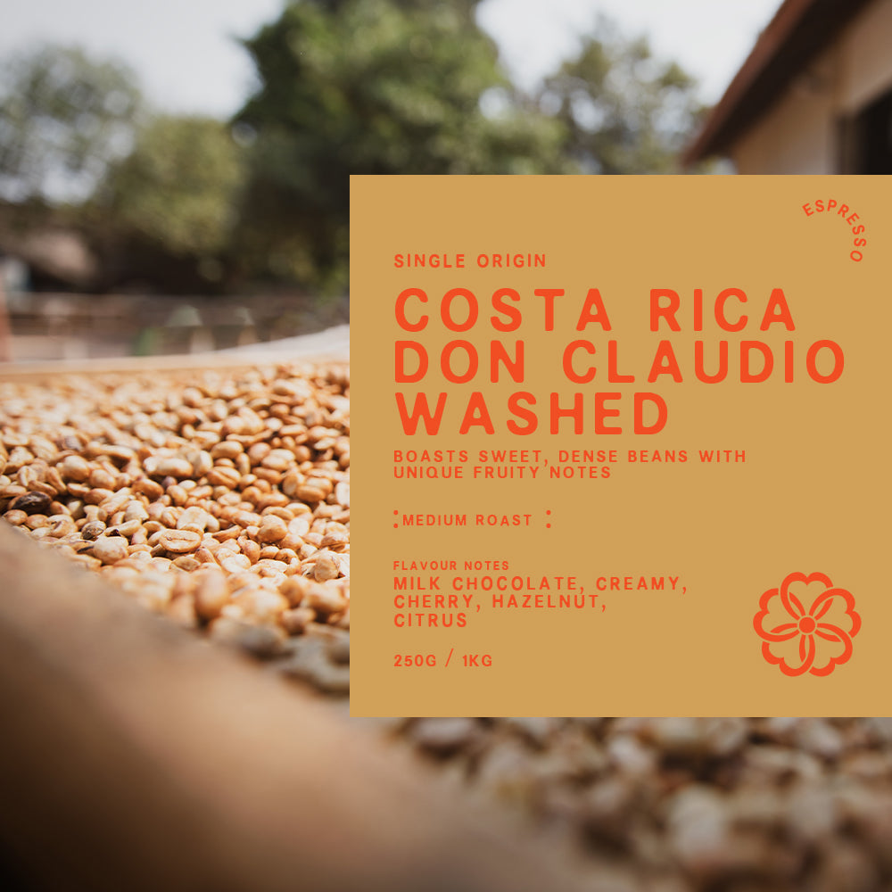 Costa Rica Don Claudio Washed